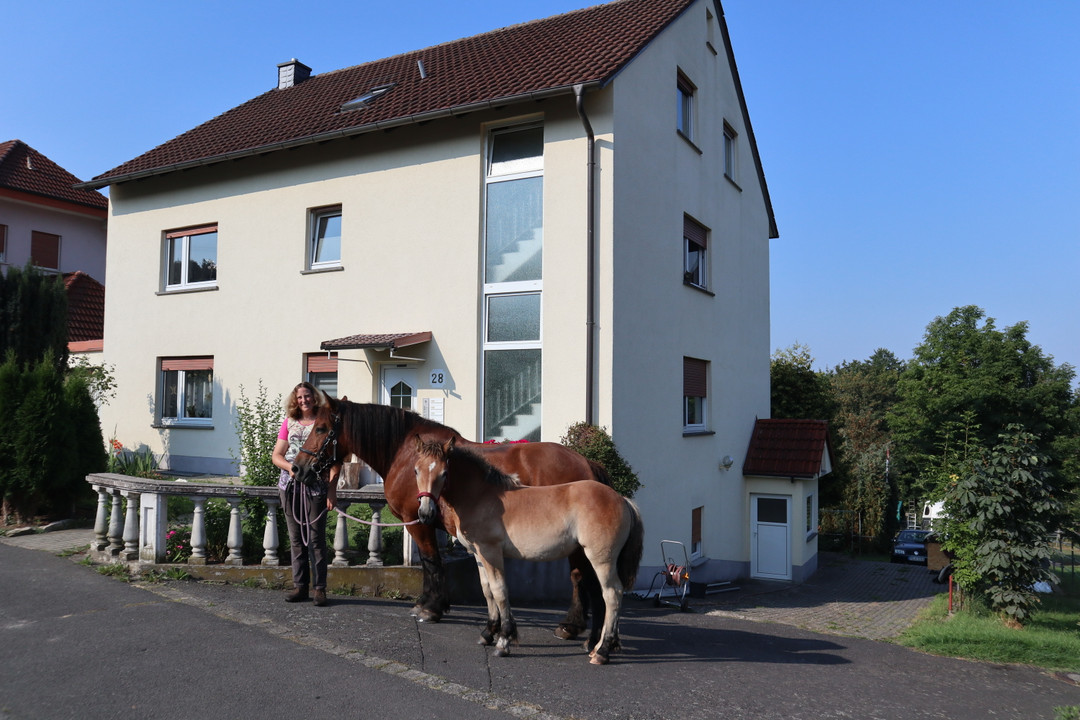 Pension Schwarz
