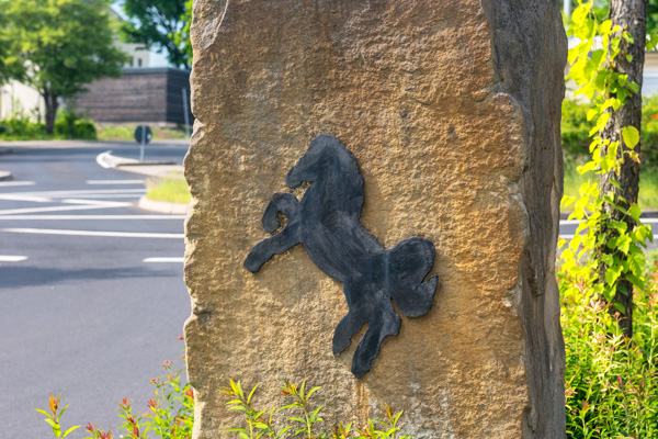 Blackhorse Museum