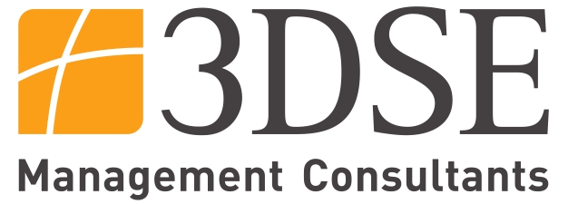3DSE Management Consultants GmbH
